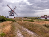 Mandø